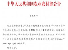 宠物食物两项农业行业尺度核准实施--健康·糊口